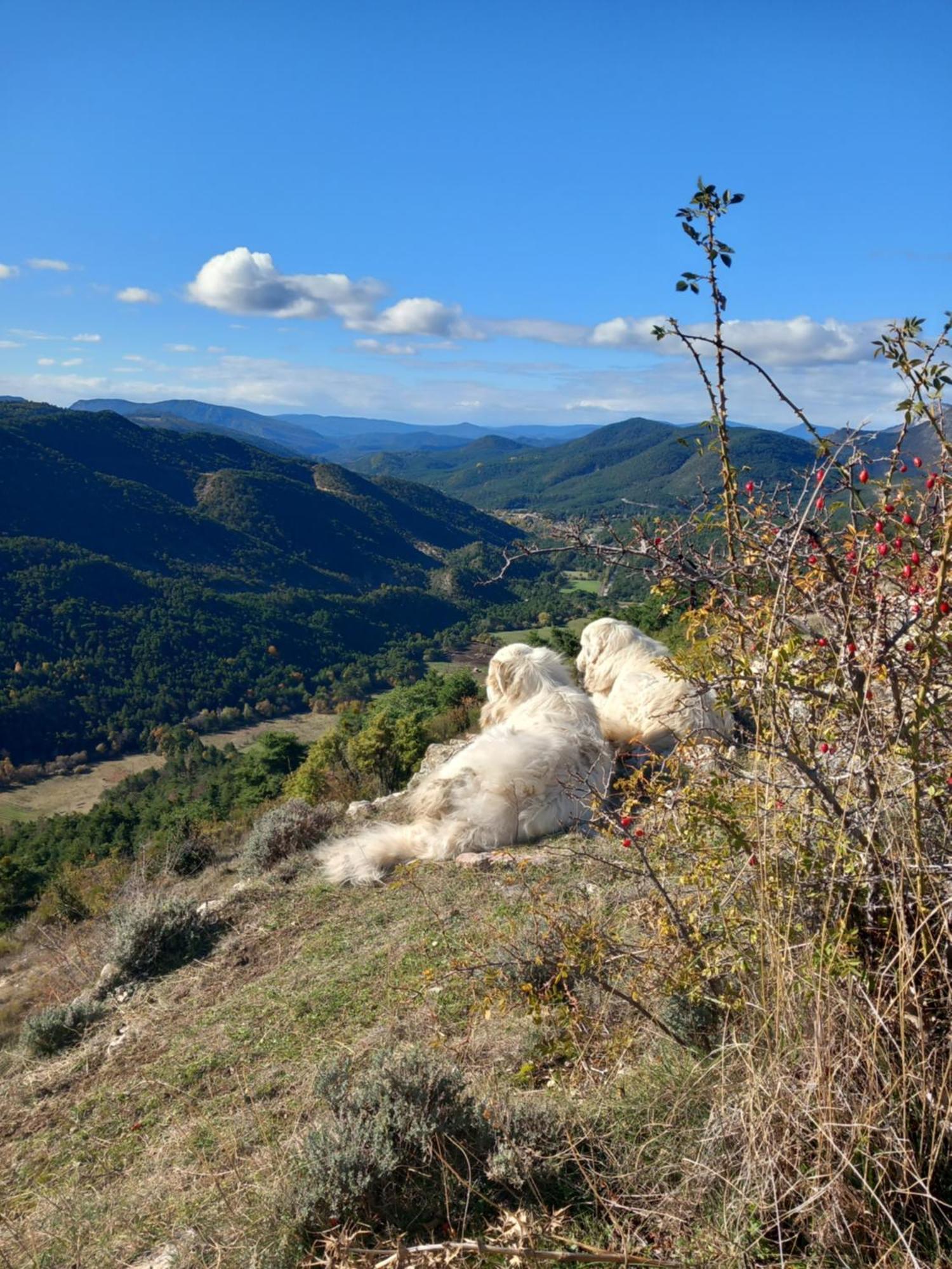 Gite La Mountagna Peyroules 外观 照片